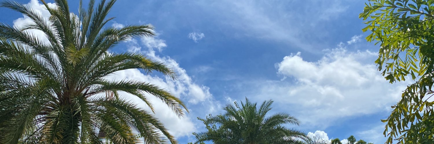 MrsDotto's profile banner image