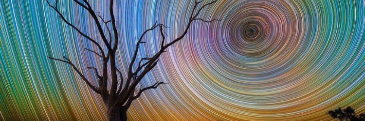 david_lil's profile banner image
