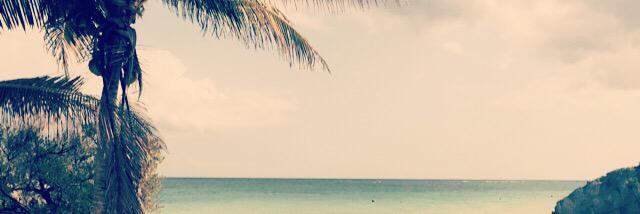 Laura_TaylorX's profile banner image