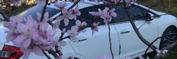 minikkus93 Profile Banner