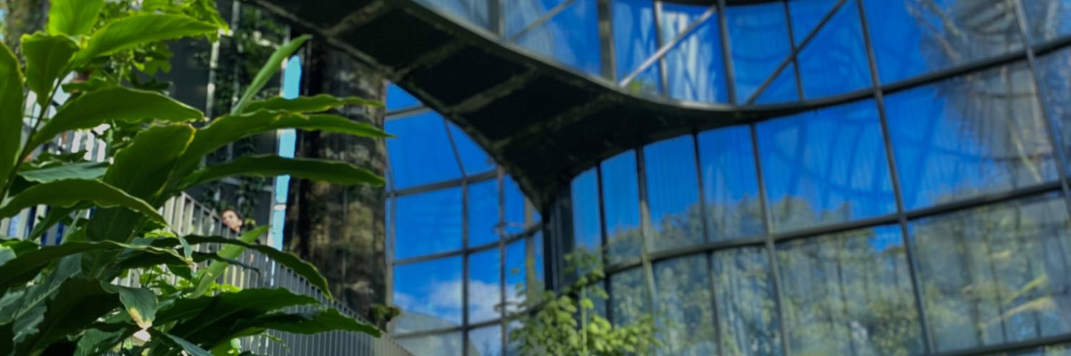 camiog10's profile banner image