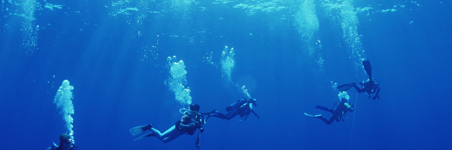 José Ruiz de Alda banner