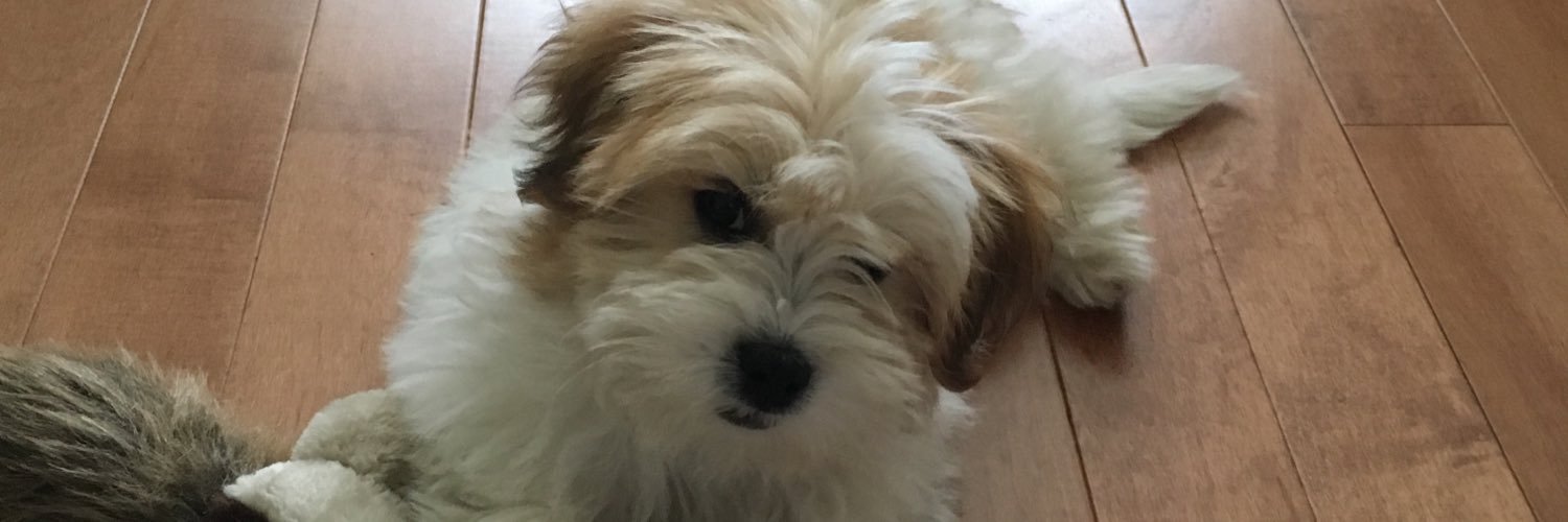 RacheWine's profile banner image