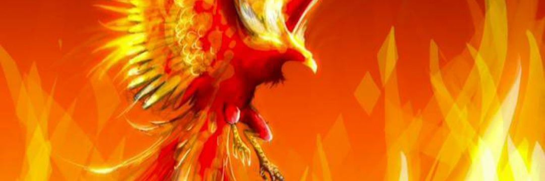 Zerrmeister's profile banner image