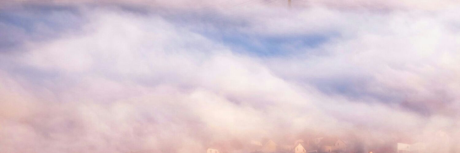 poorani's profile banner image