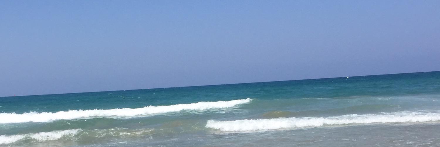 nikkisull's profile banner image