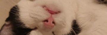 legoftitanium's profile banner image