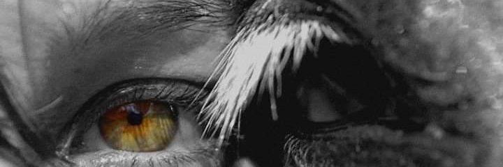 NirisRiot's profile banner image