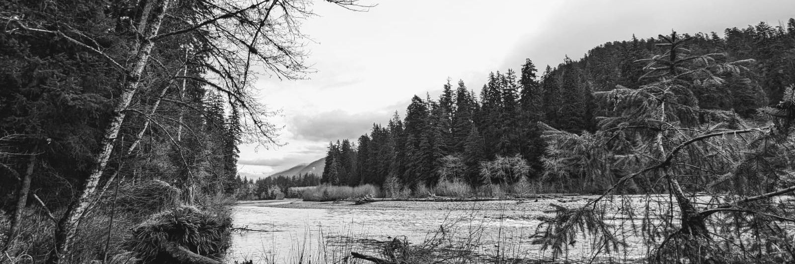 DrPritch #RIPAkiraToriyama banner