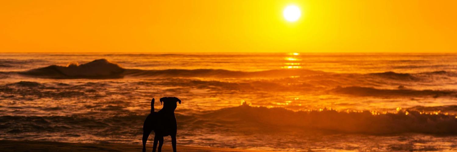maxportiz's profile banner image