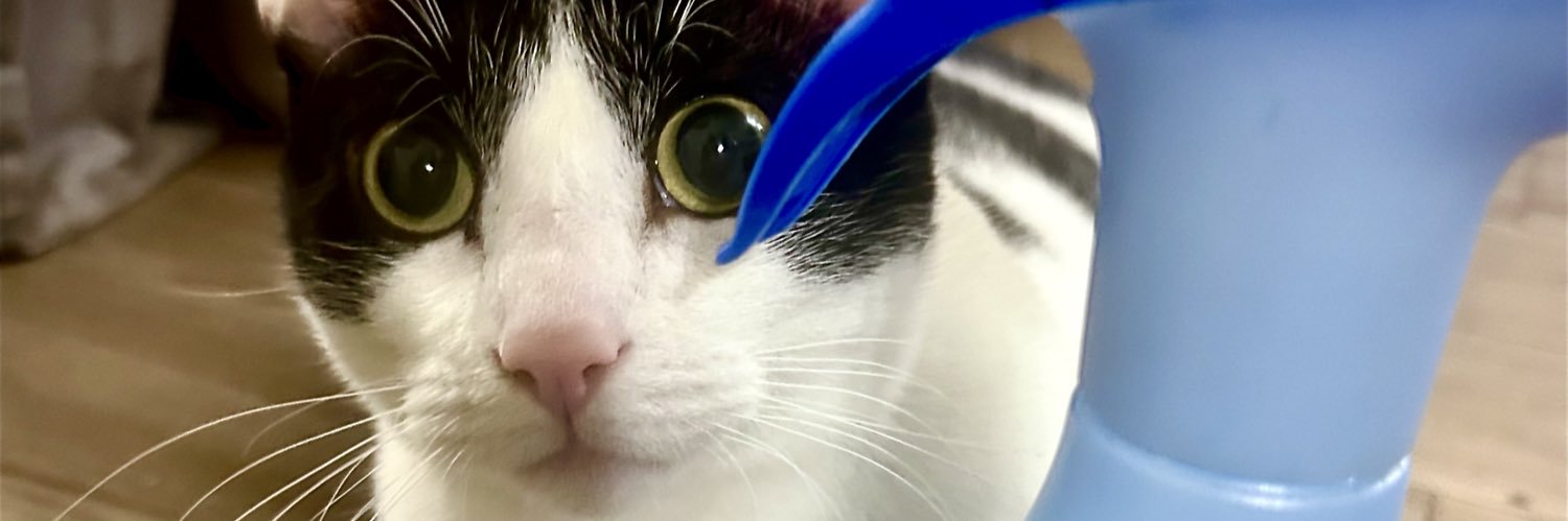 Ms_A_Hole's profile banner image
