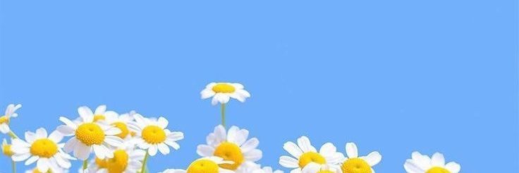 🌈lemonadeafterlemons✨ banner