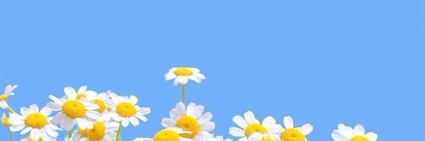 13Chanit Profile Banner