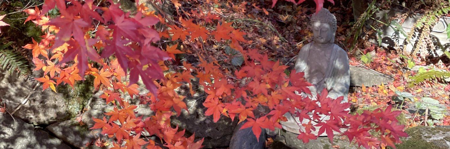 Kimi Omori 🧜🏽‍♀️ banner