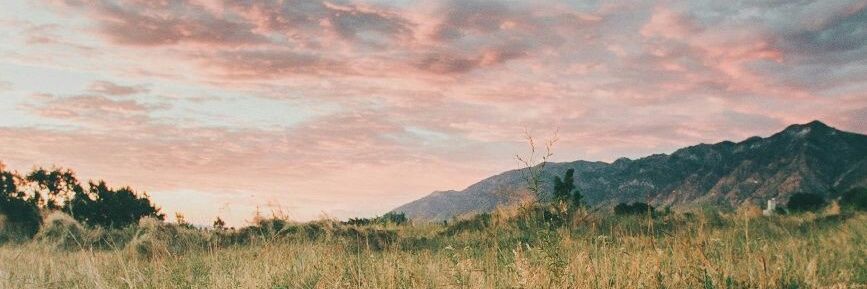 MrsCalabash81's profile banner image