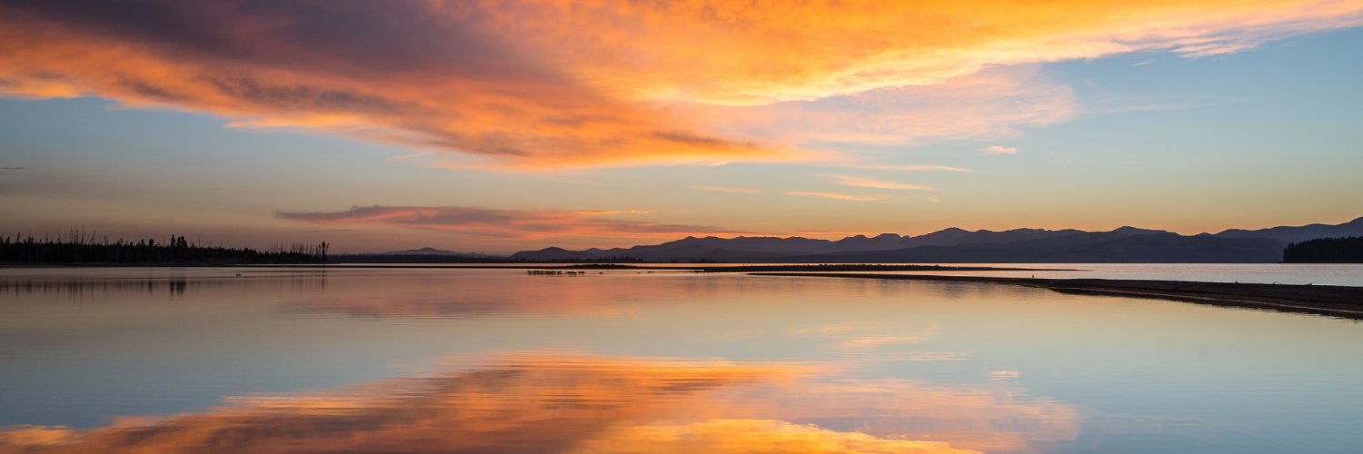 Militant Libertarian banner