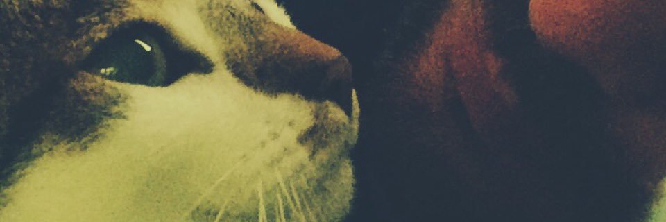 jrojoqca's profile banner image