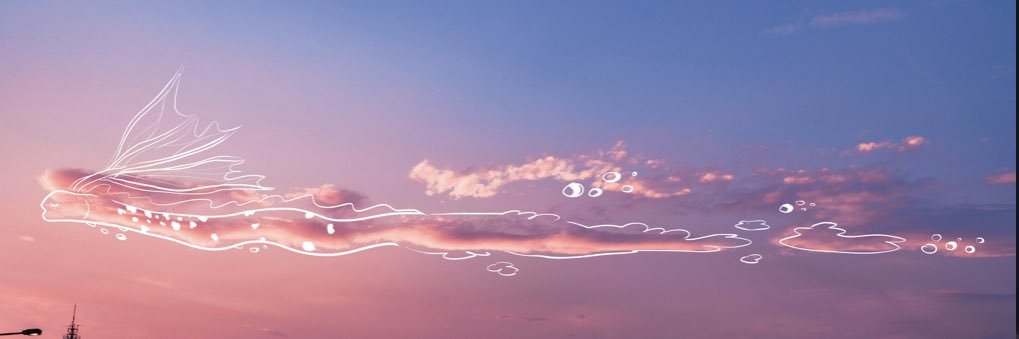 tepe1102's profile banner image