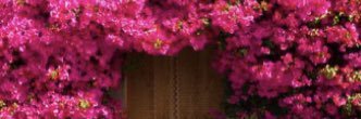 fofi_khwaj's profile banner image