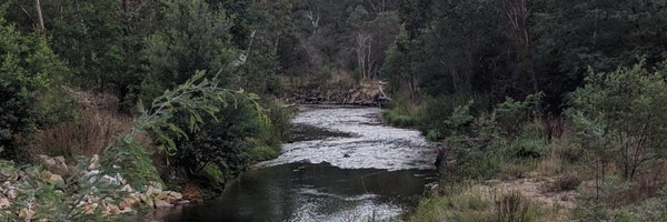 toddbrownpod Profile Banner