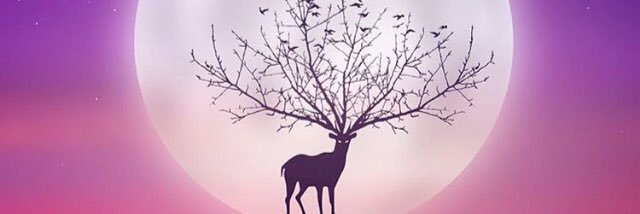 Rianh111's profile banner image