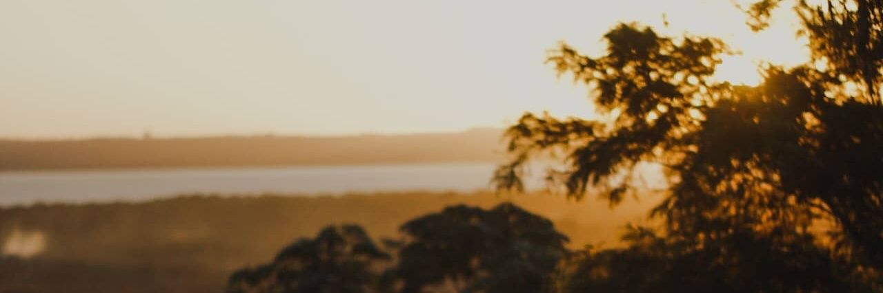 jrojasjara's profile banner image