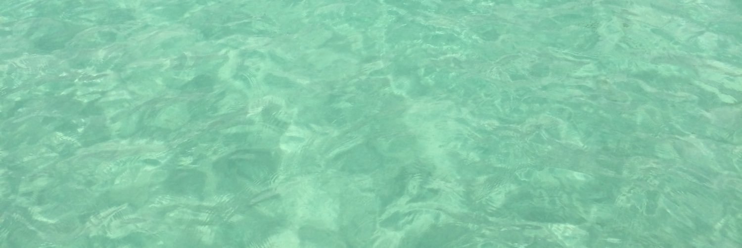 diosnedy74's profile banner image