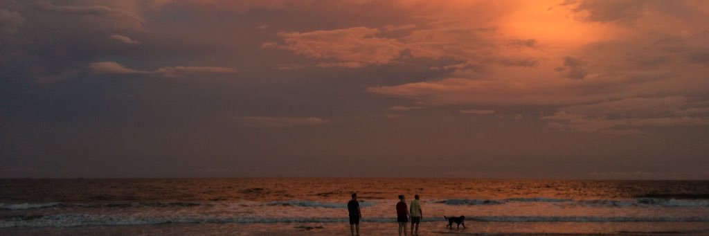 MaryGraceTrogdo's profile banner image