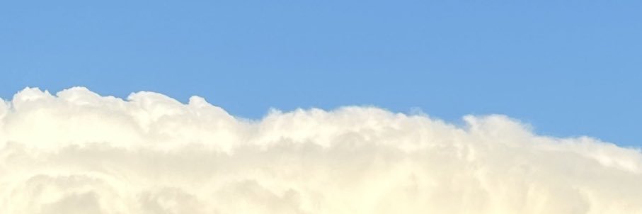 sgfgceleste's profile banner image