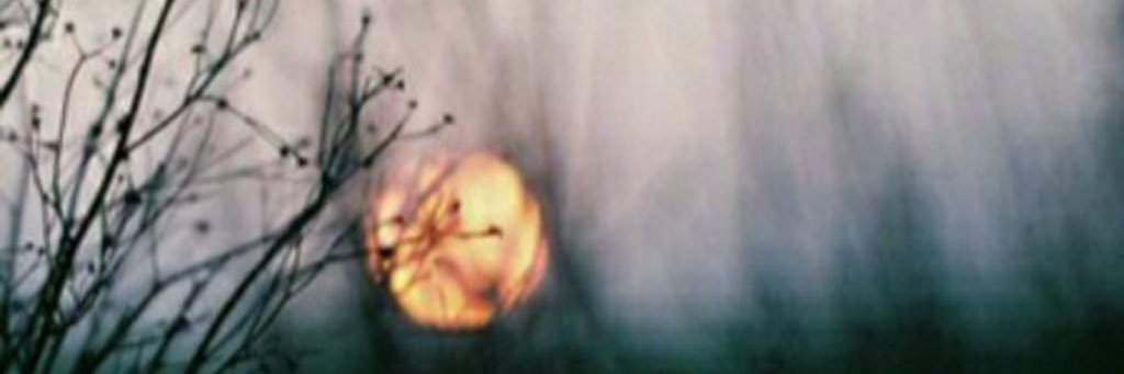 kramilh's profile banner image