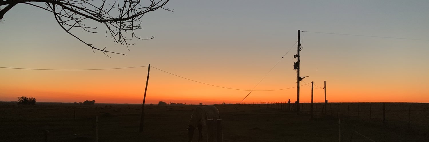 TioBarba76's profile banner image