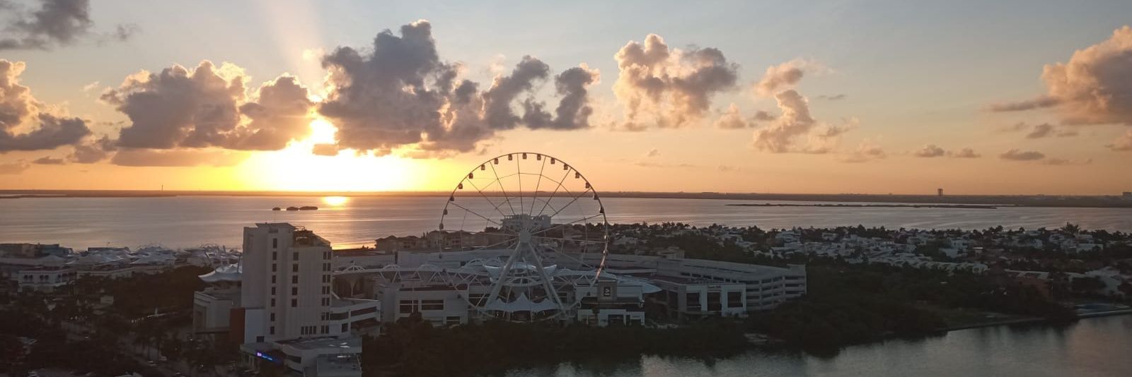 Vanessa Correa V. banner