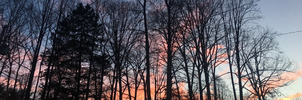 Nut_Meg23's profile banner image