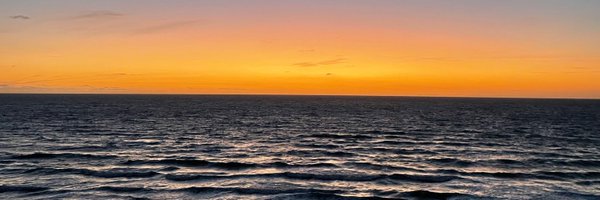 sappstick Profile Banner