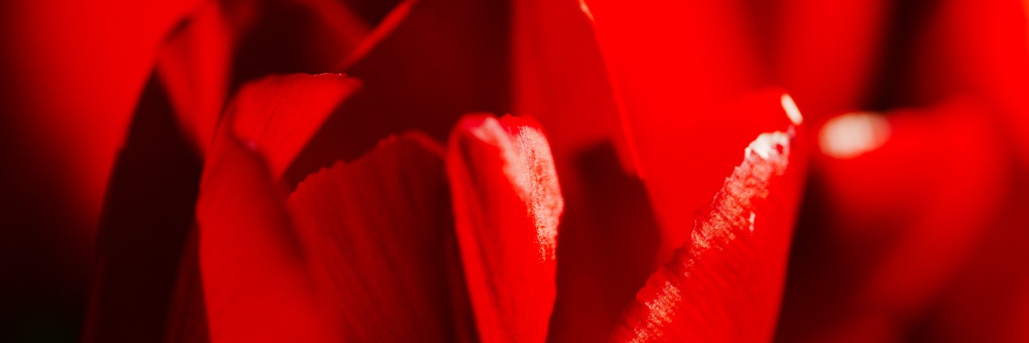 老舗モアイ banner