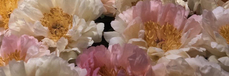 mylenemf's profile banner image