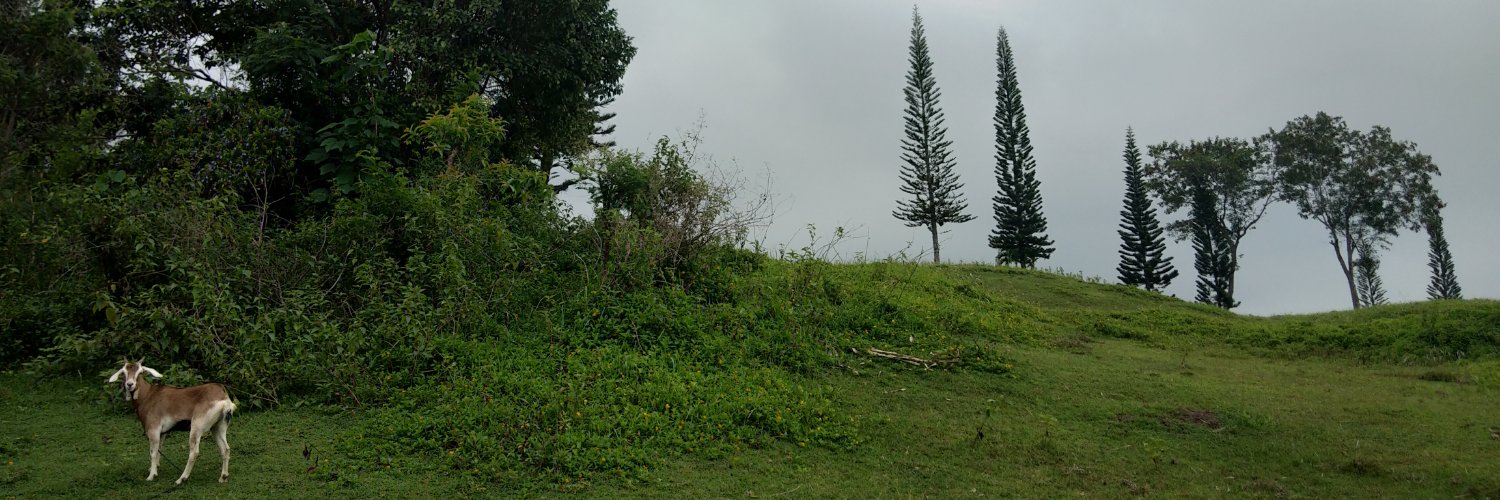 KendiMintBryce's profile banner image