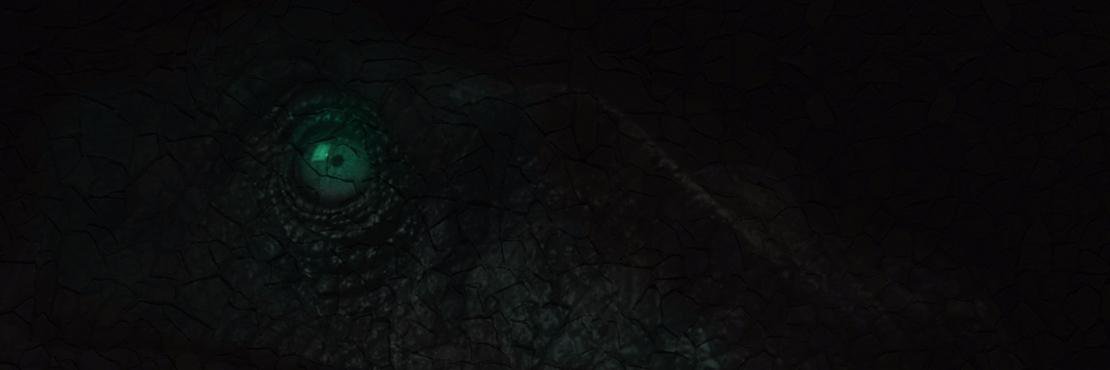 raptoreditor's profile banner image