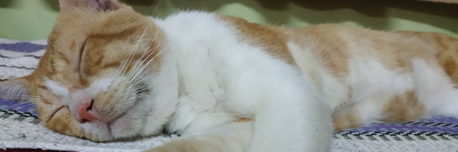 farhahfarid's profile banner image