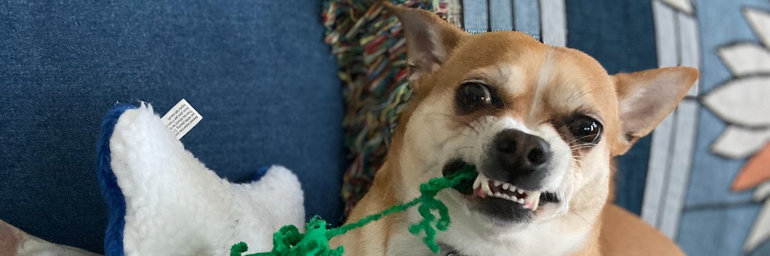 Dr. Jessie Male 🍉 banner