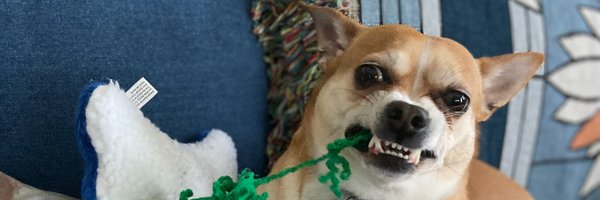 ProfJMale Profile Banner
