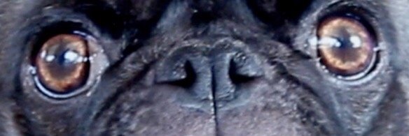 TomJohn__'s profile banner image