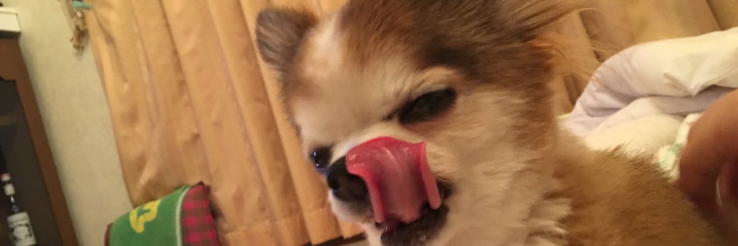 HITTOxxx's profile banner image