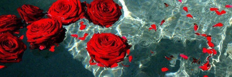 unorthodoxluv's profile banner image