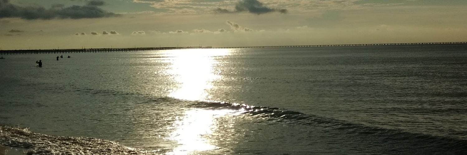 FitzFrancis's profile banner image