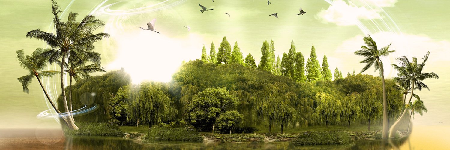 moriebaile's profile banner image
