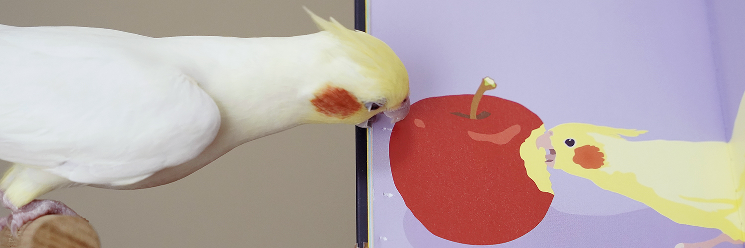 ことりちゃん banner