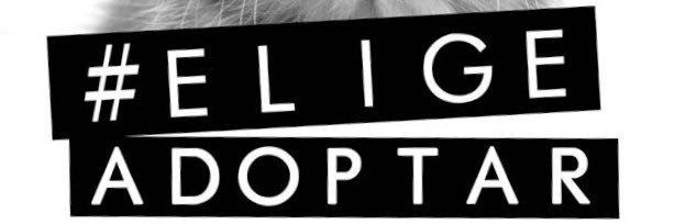 Fundación Julieta banner