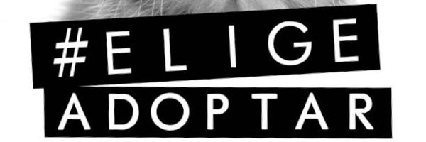 FundJulieta Profile Banner