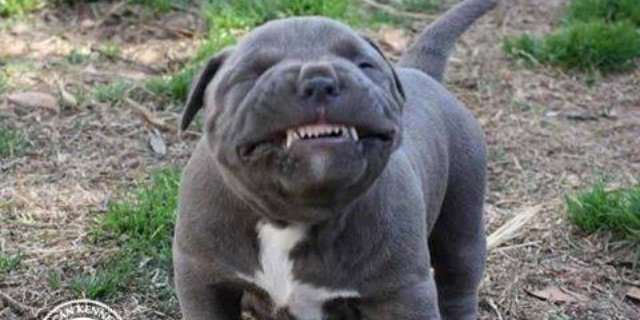 digglesbe's profile banner image